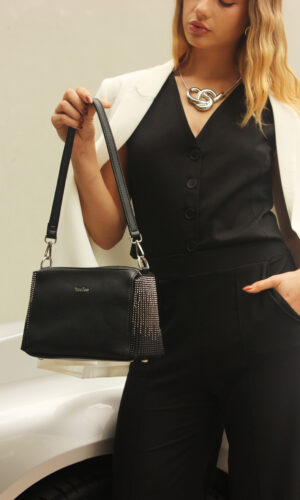 Cartera con Brillos